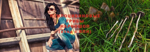 a pvp Богородицк