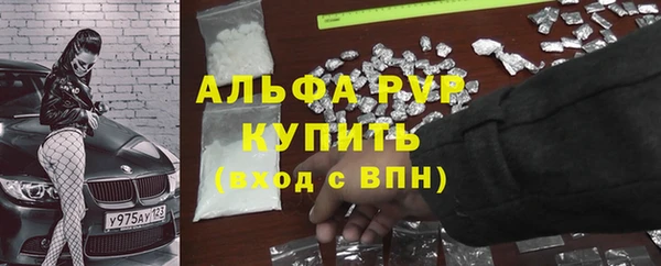 крисы Беломорск
