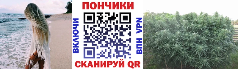kraken маркетплейс  сайты даркнета телеграм  Свободный  Конопля Amnesia  где продают  